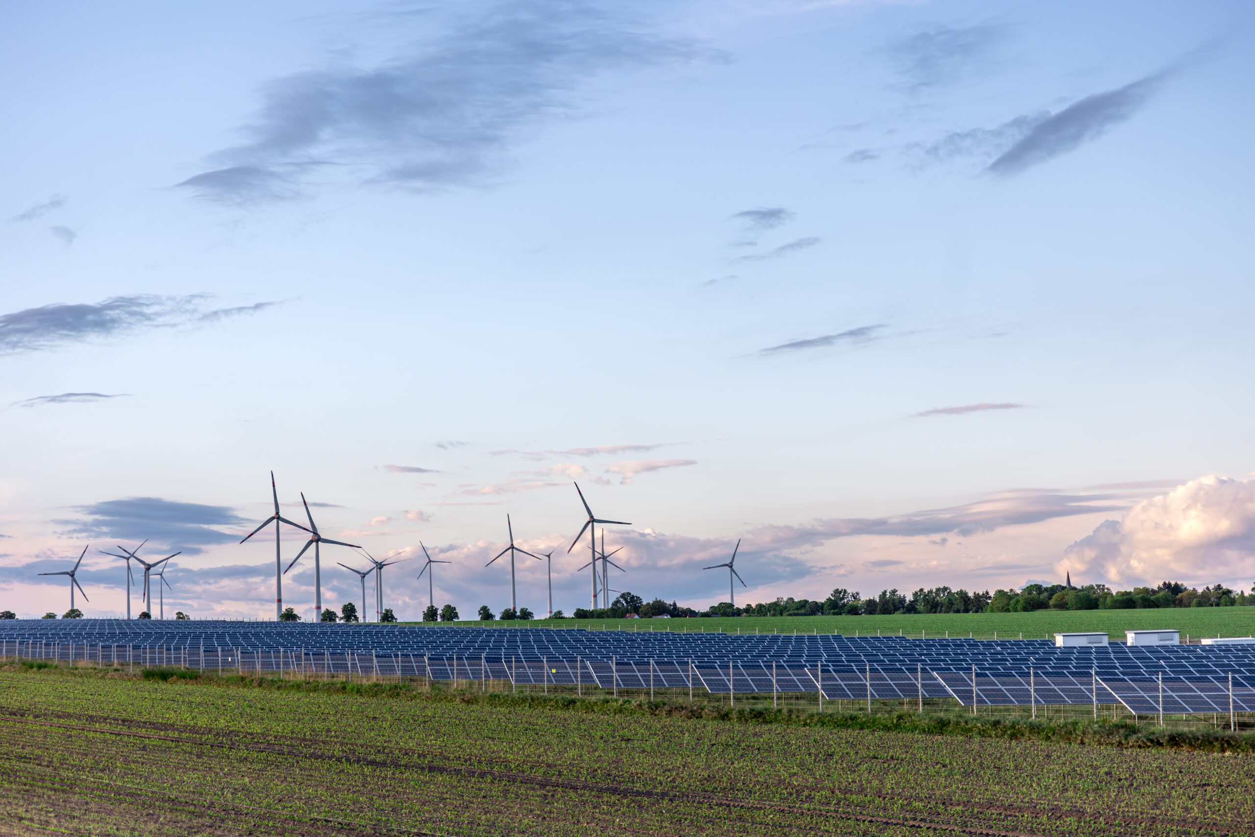 Uk Government Bans Morocco Uk Renewable Energy Project